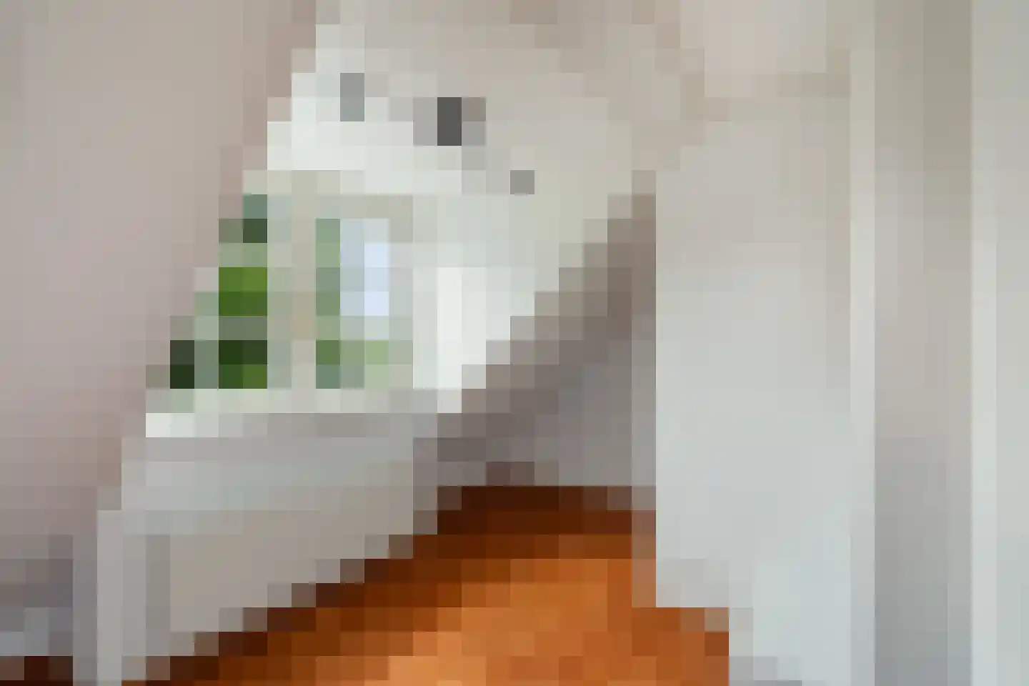 Libellestraat 2 Berkel en Rodenrijs thumbnail 43