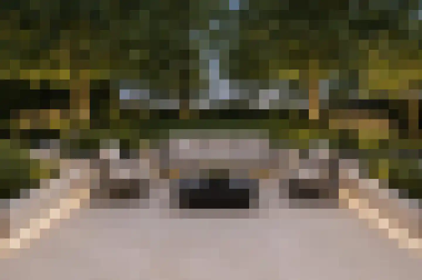 Libellestraat 2 Berkel en Rodenrijs thumbnail 5