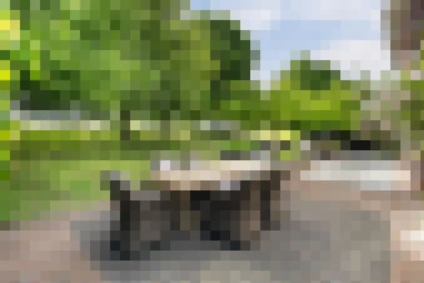 Libellestraat 2 Berkel en Rodenrijs thumbnail 53