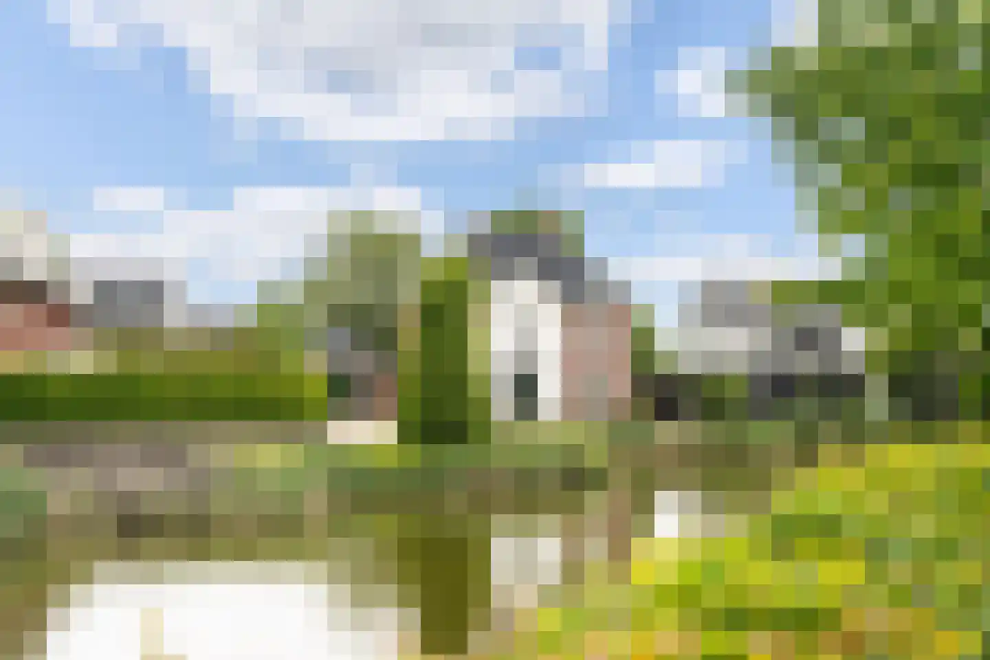 Libellestraat 2 Berkel en Rodenrijs thumbnail 6