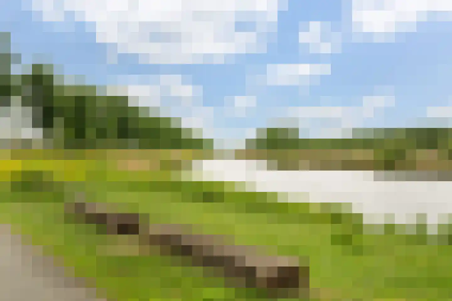Libellestraat 2 Berkel en Rodenrijs thumbnail 68