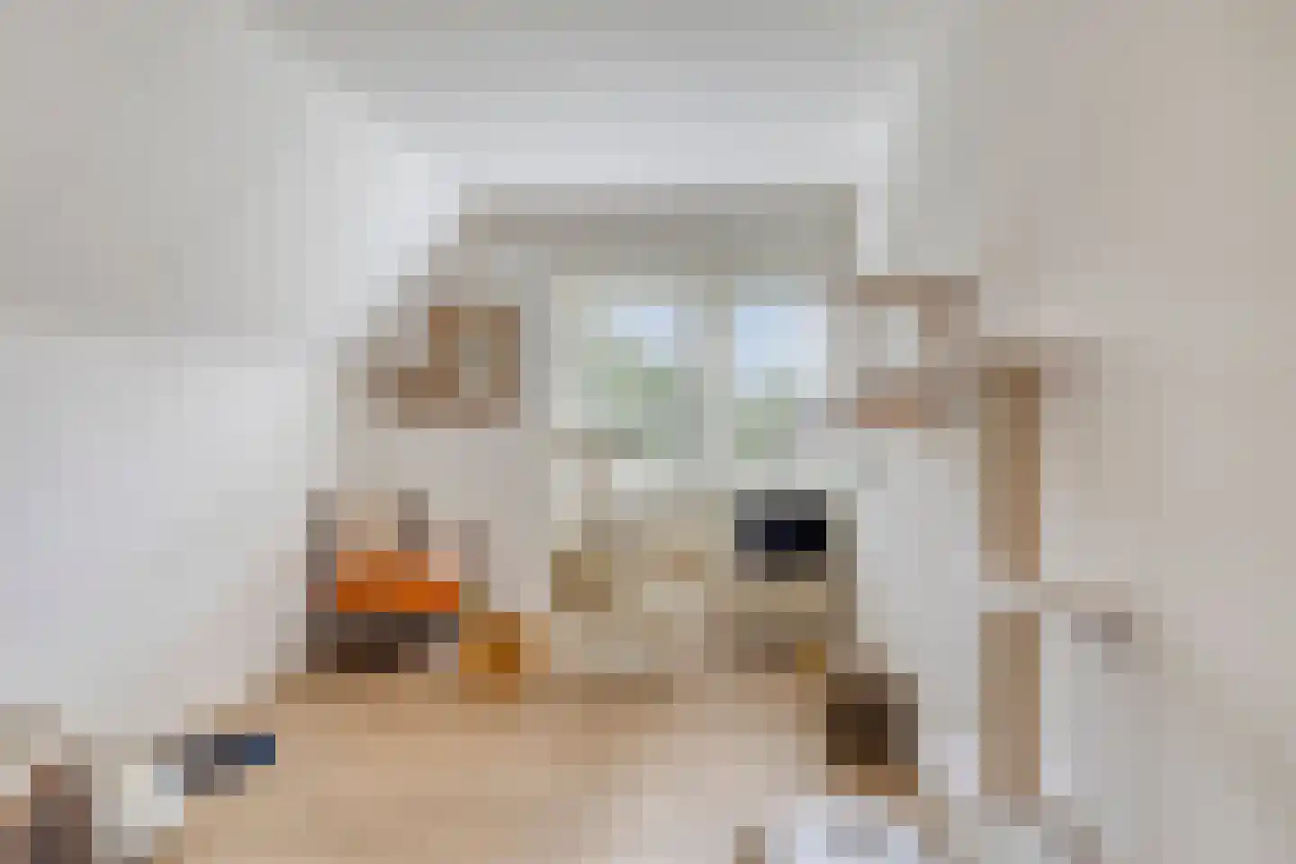 Libellestraat 22 Hengelo thumbnail 32