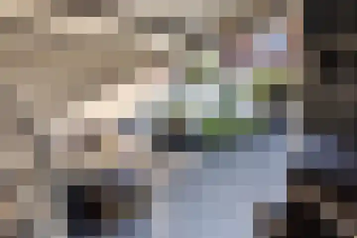 Libellestraat 27 Hengelo thumbnail 47