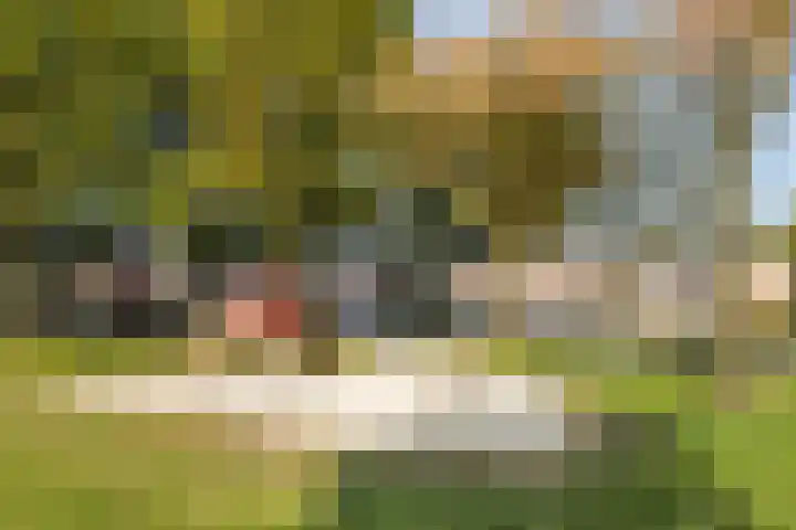 Libellestraat 27 Hengelo thumbnail 49