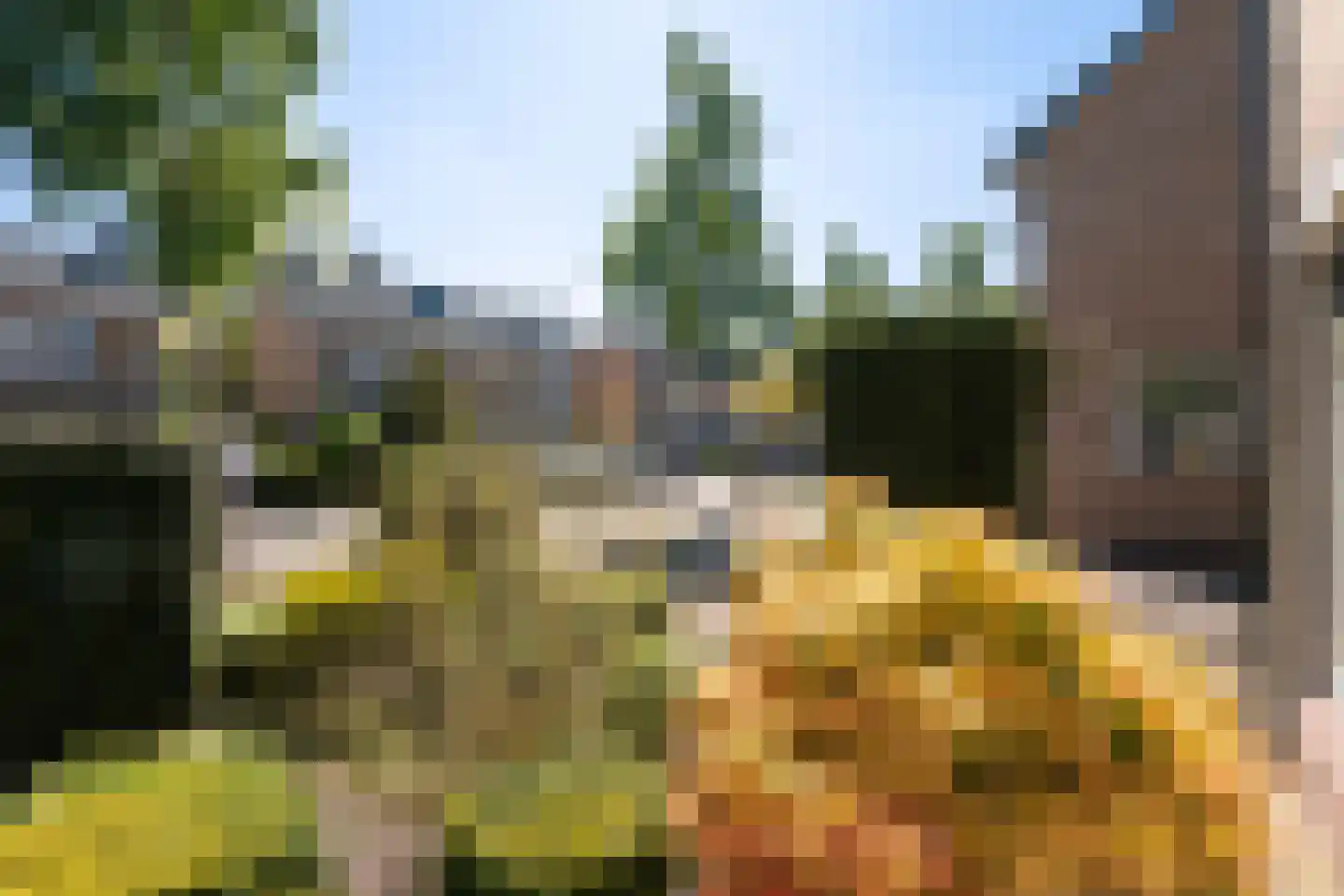 Libellestraat 33 Beekbergen thumbnail 41
