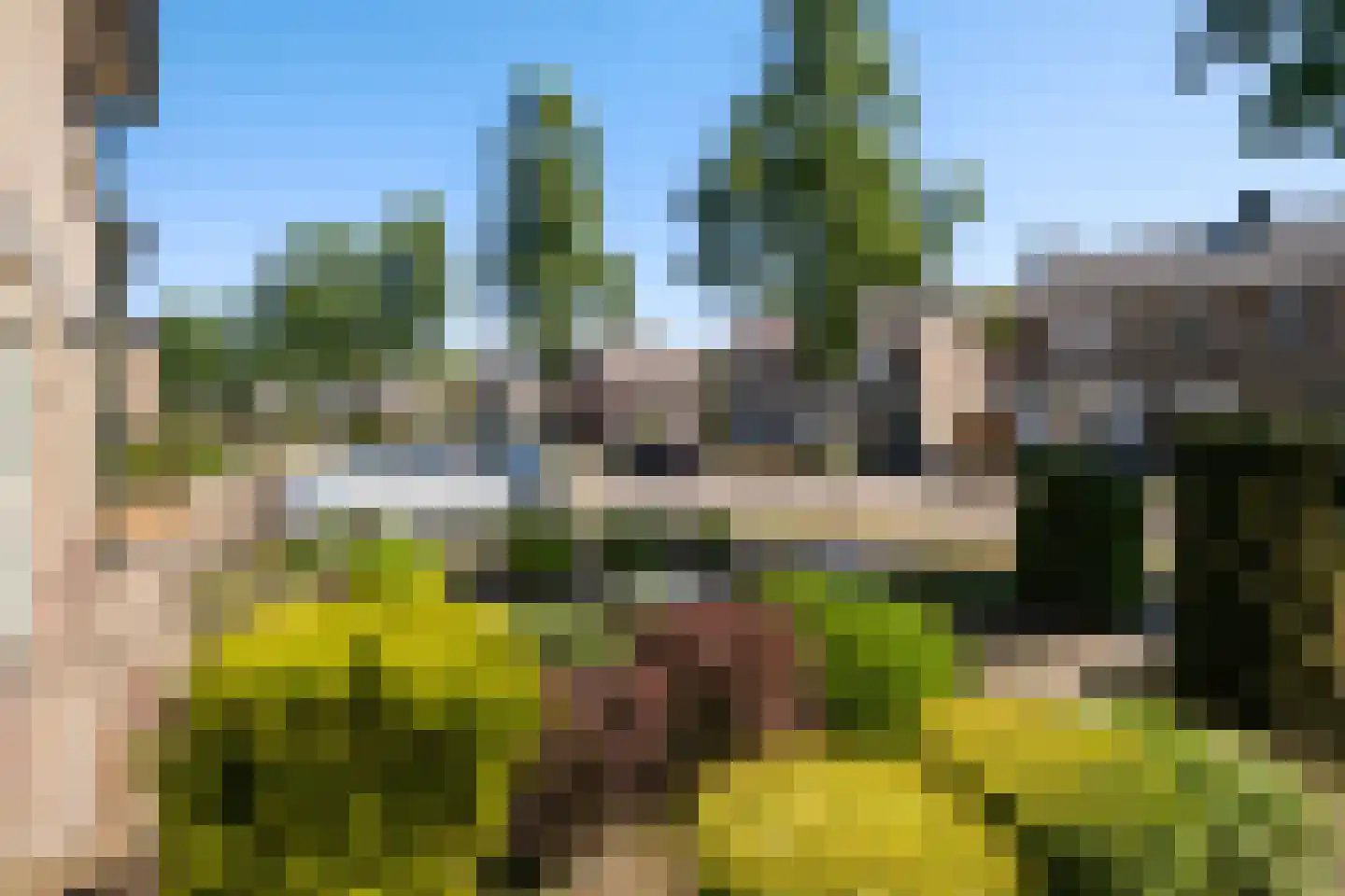 Libellestraat 33 Beekbergen thumbnail 42