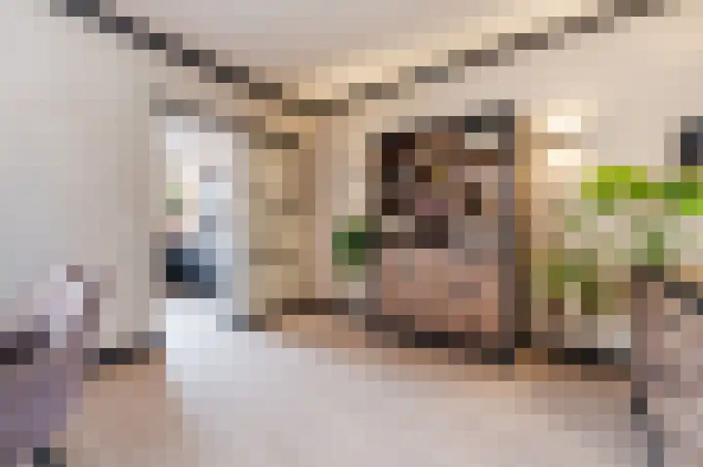 Libellestraat 5 Maarheeze thumbnail 10