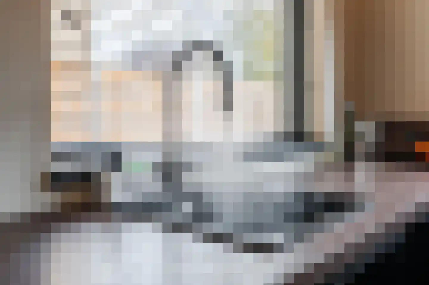 Libellestraat 5 Maarheeze thumbnail 13