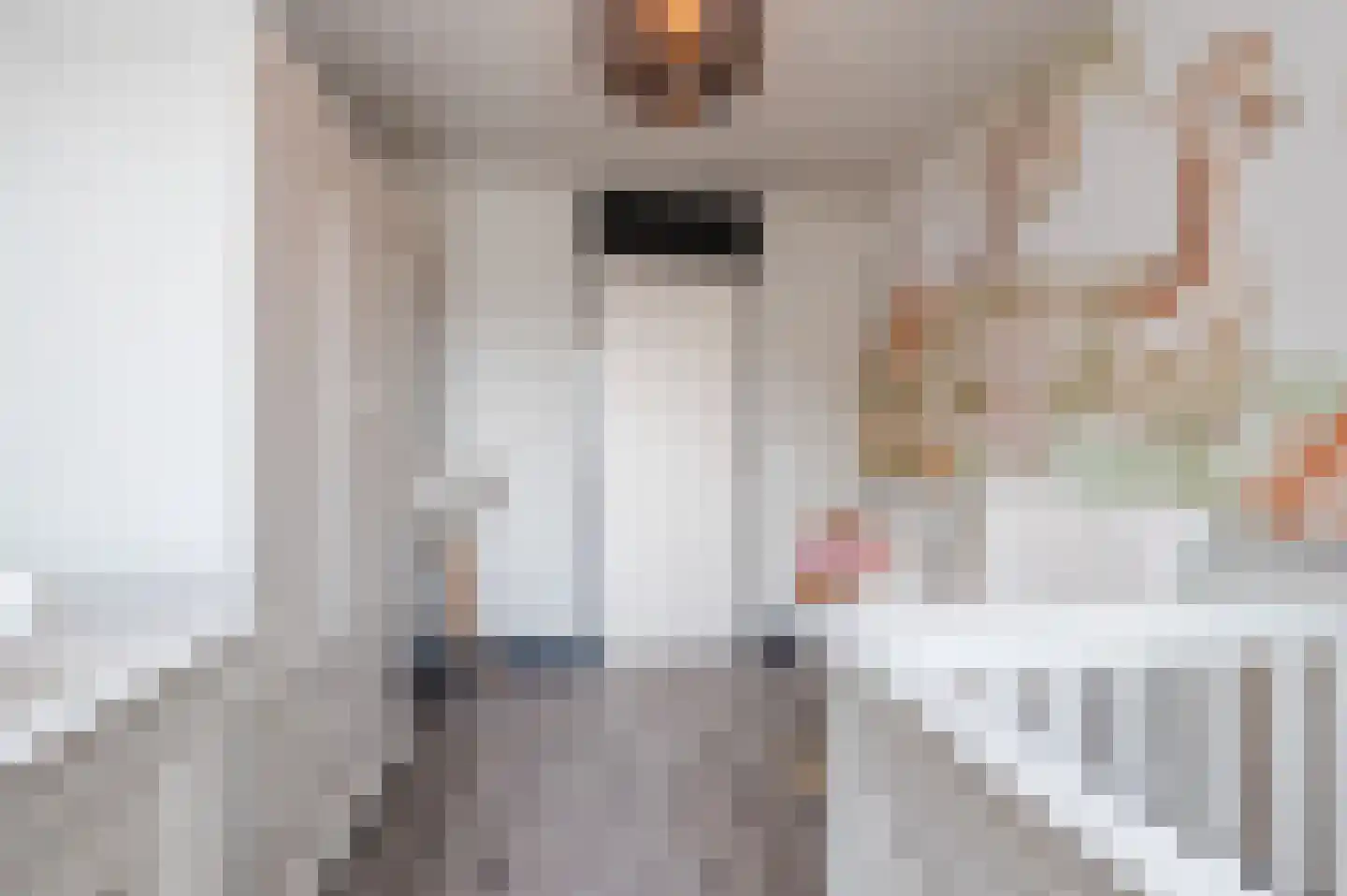 Libellestraat 5 Maarheeze thumbnail 26