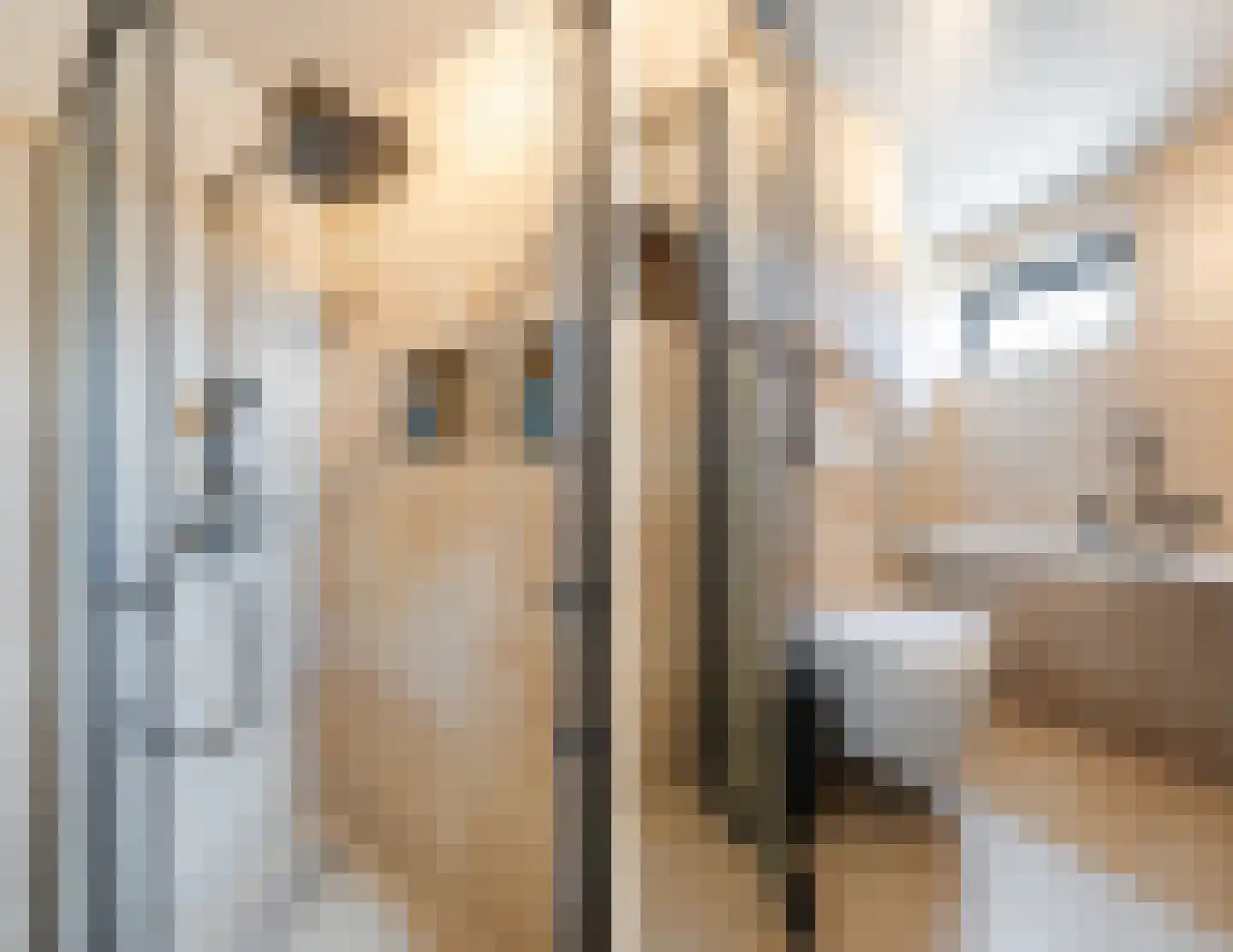 Libellestraat 5 Maarheeze thumbnail 30