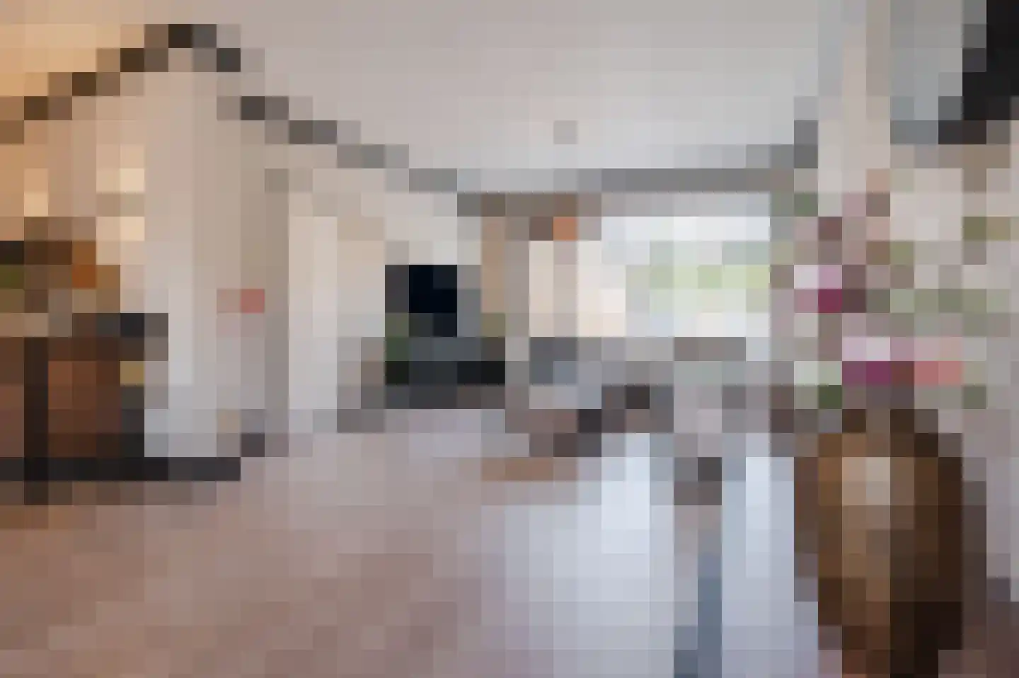 Libellestraat 5 Maarheeze thumbnail 8
