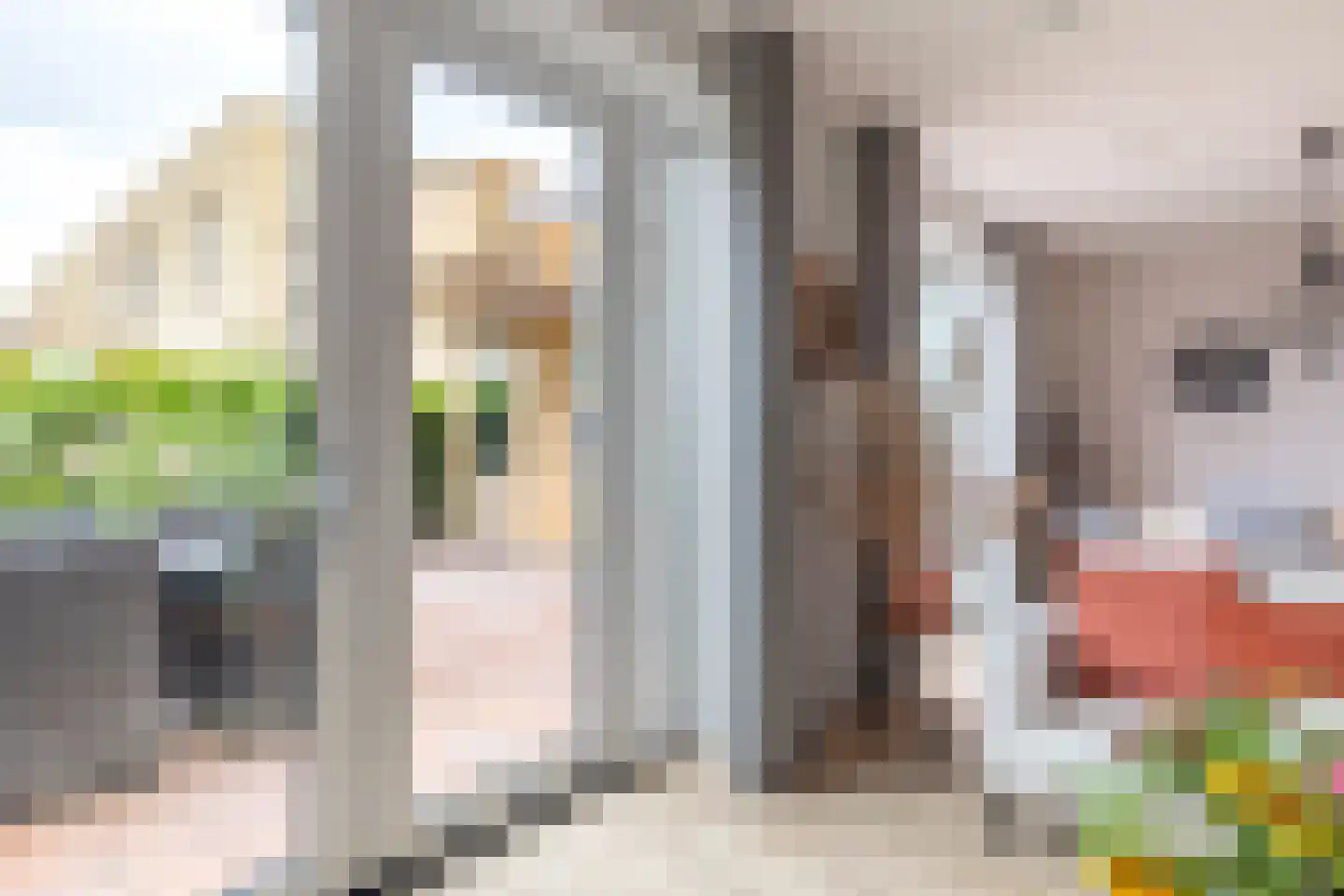Libellestraat 60 Heerhugowaard thumbnail 16
