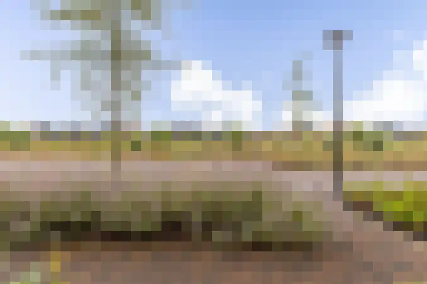 Libellestraat 60 Heerhugowaard thumbnail 42