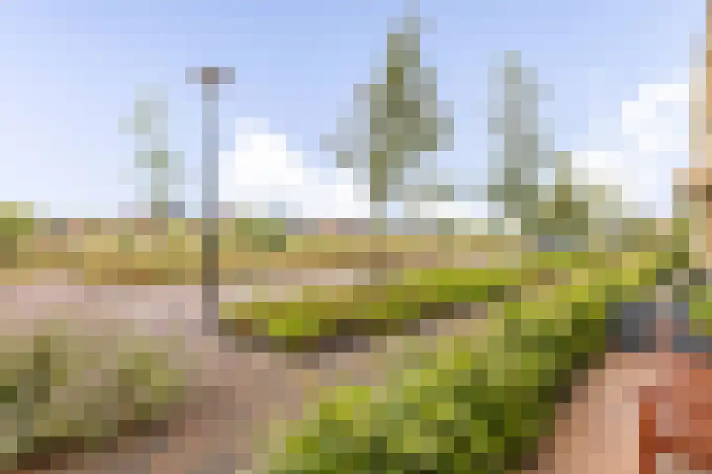 Libellestraat 60 Heerhugowaard thumbnail 43