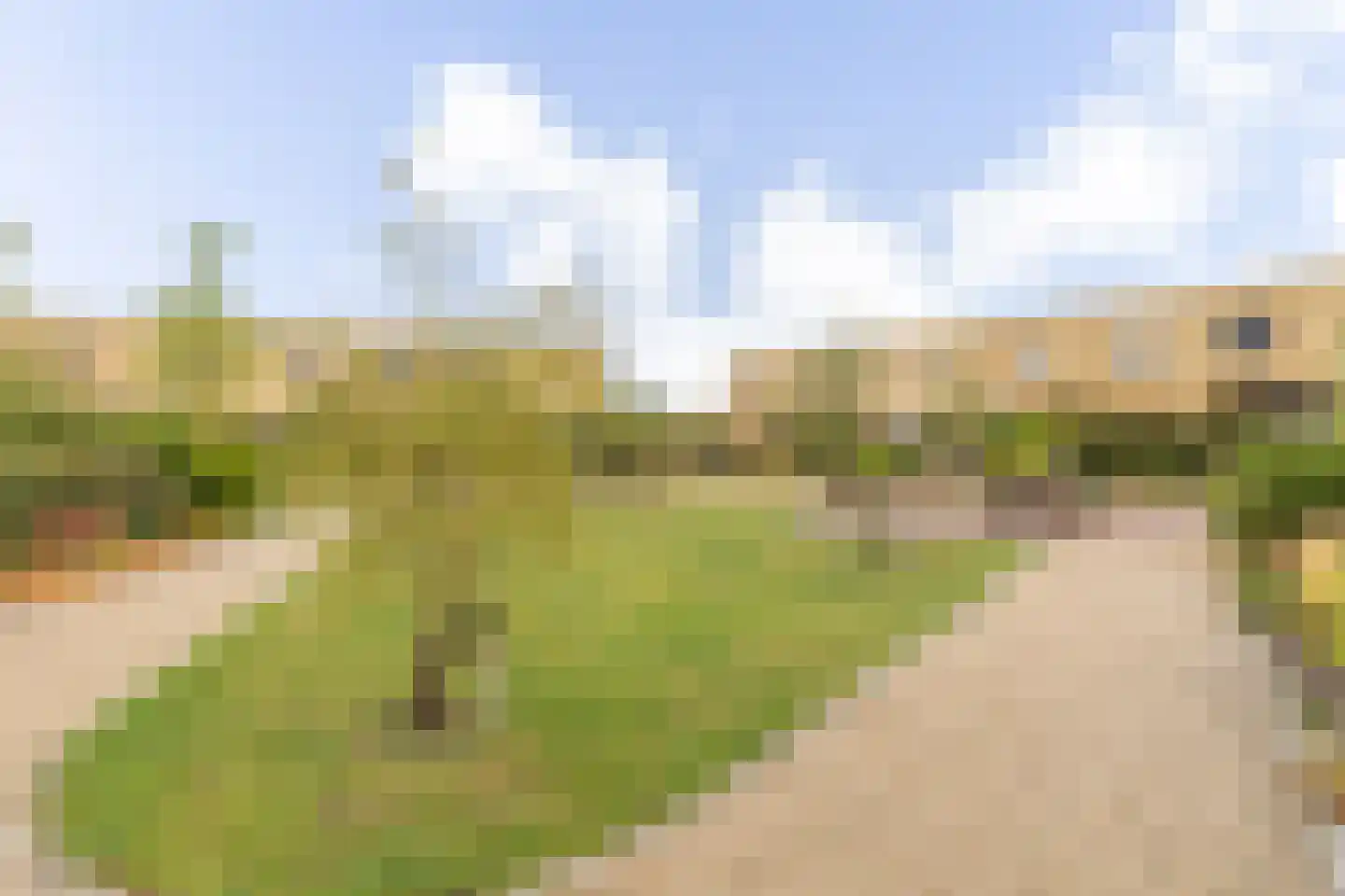 Libellestraat 60 Heerhugowaard thumbnail 52