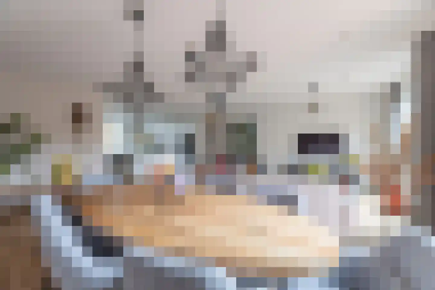 Libellestraat 60 Heerhugowaard thumbnail 7