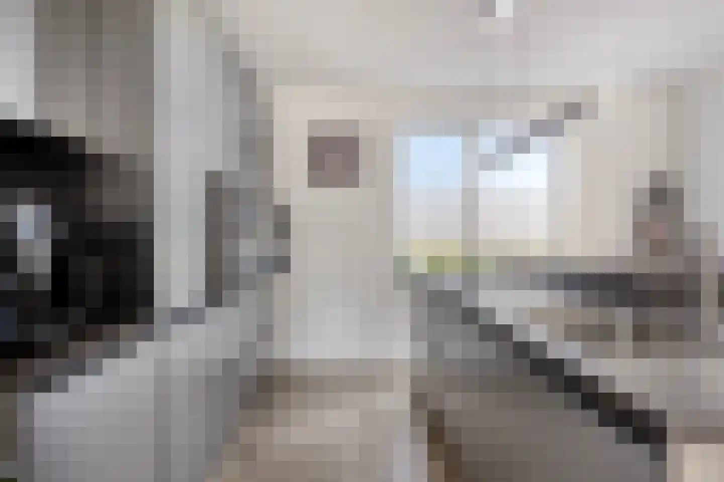 Libellestraat 62 Heerhugowaard thumbnail 18