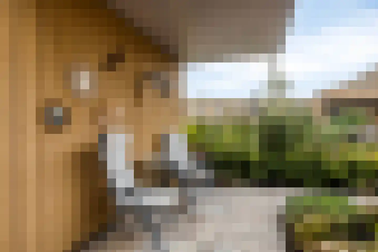 Libellestraat 62 Heerhugowaard thumbnail 38