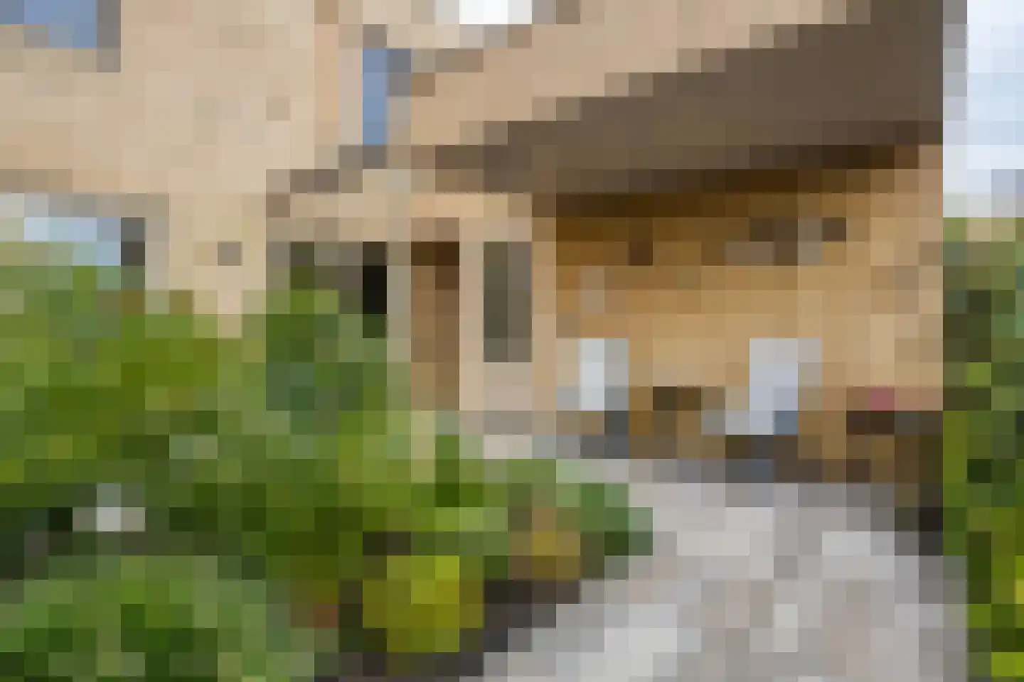 Libellestraat 62 Heerhugowaard thumbnail 40
