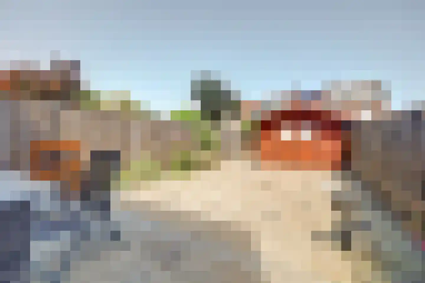 Libelleveen 117 Spijkenisse thumbnail 19