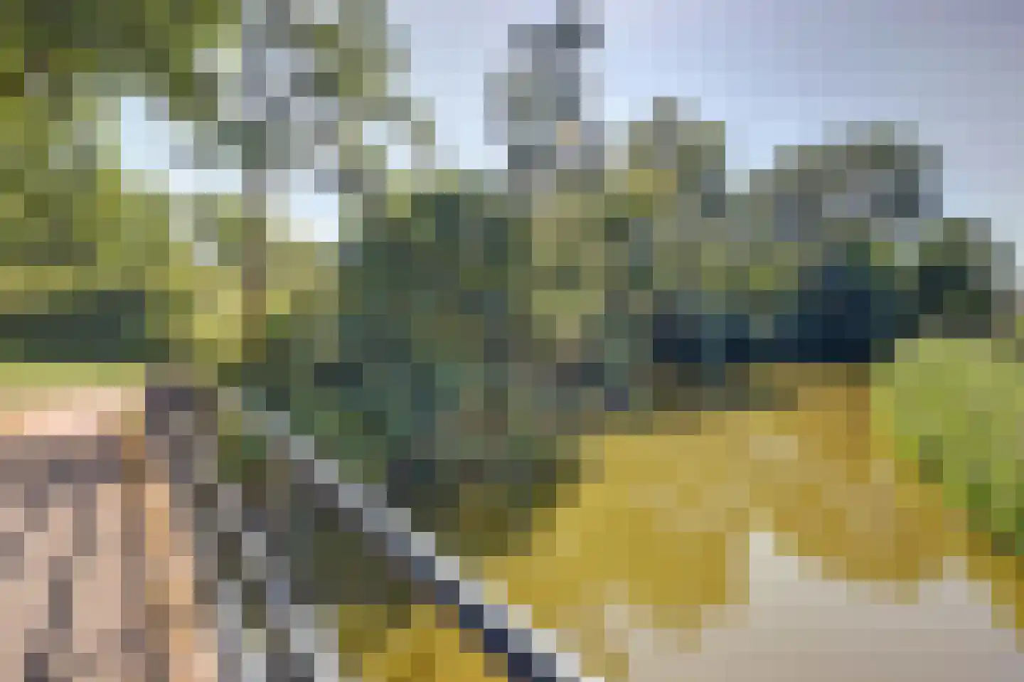 Libelleveen 117 Spijkenisse thumbnail 27