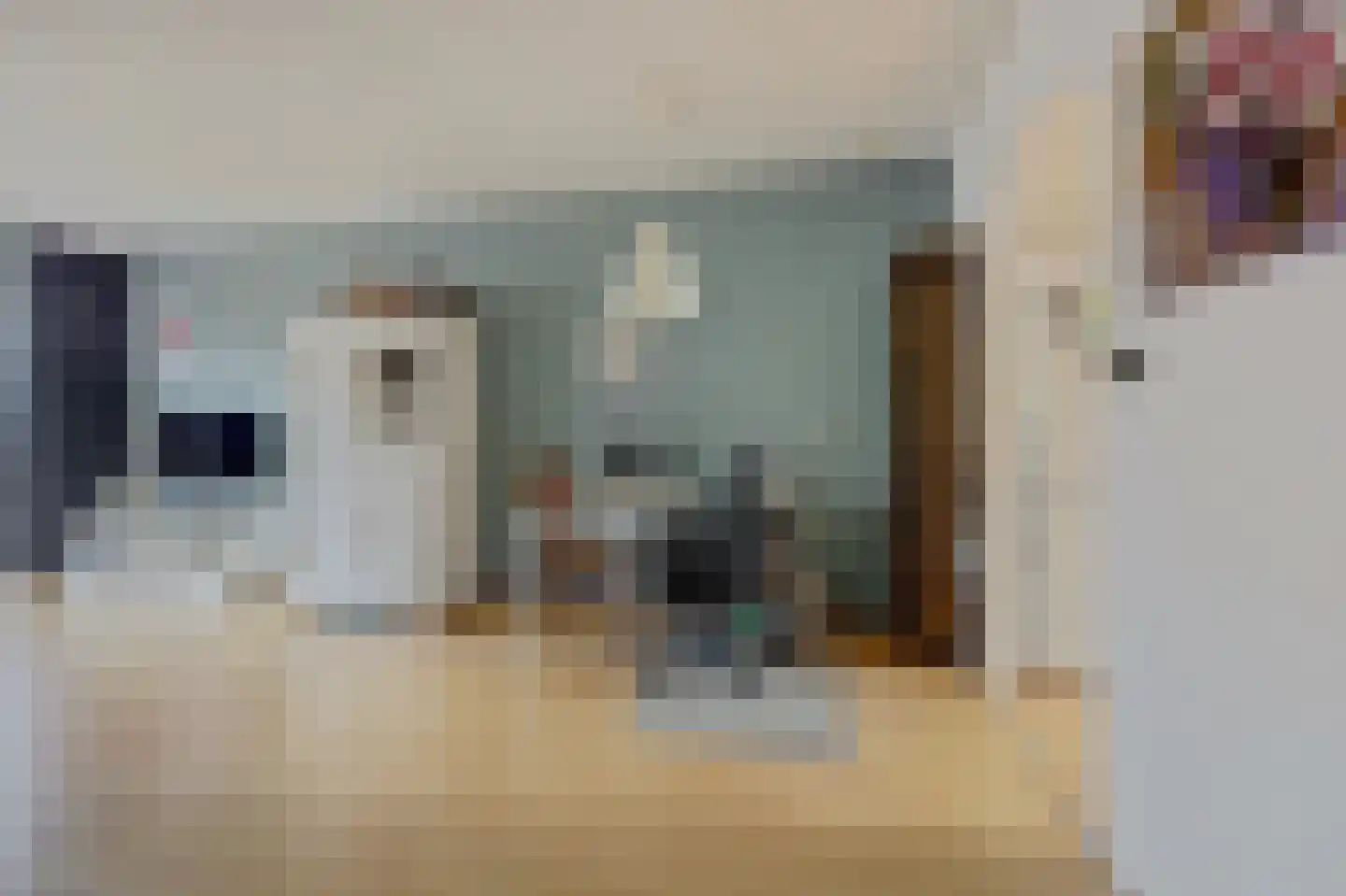 Libelleveen 117 Spijkenisse thumbnail 6