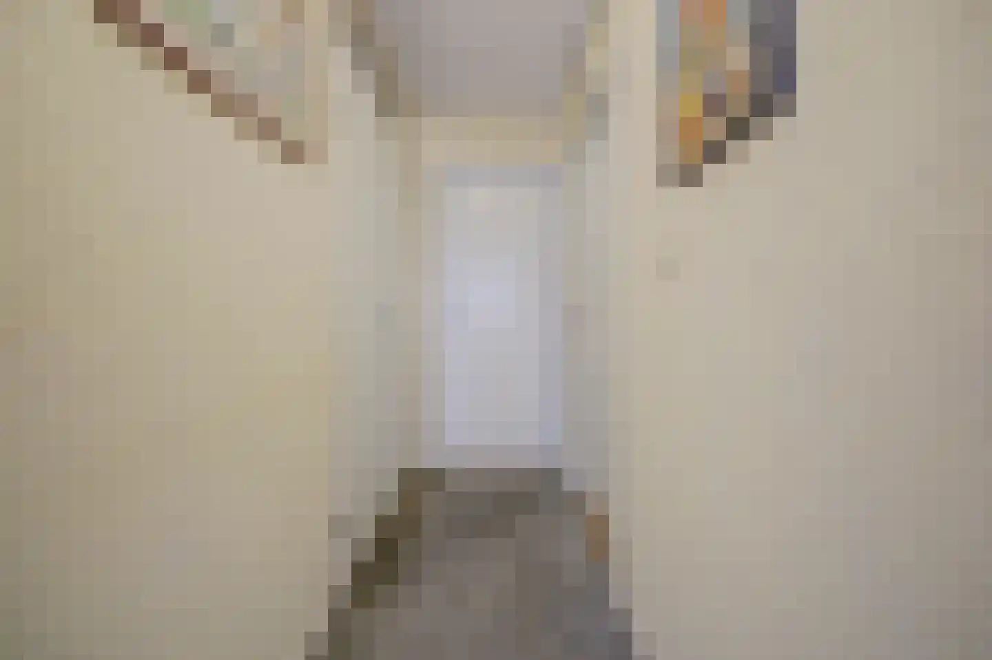 Libelleveen 117 Spijkenisse thumbnail 7