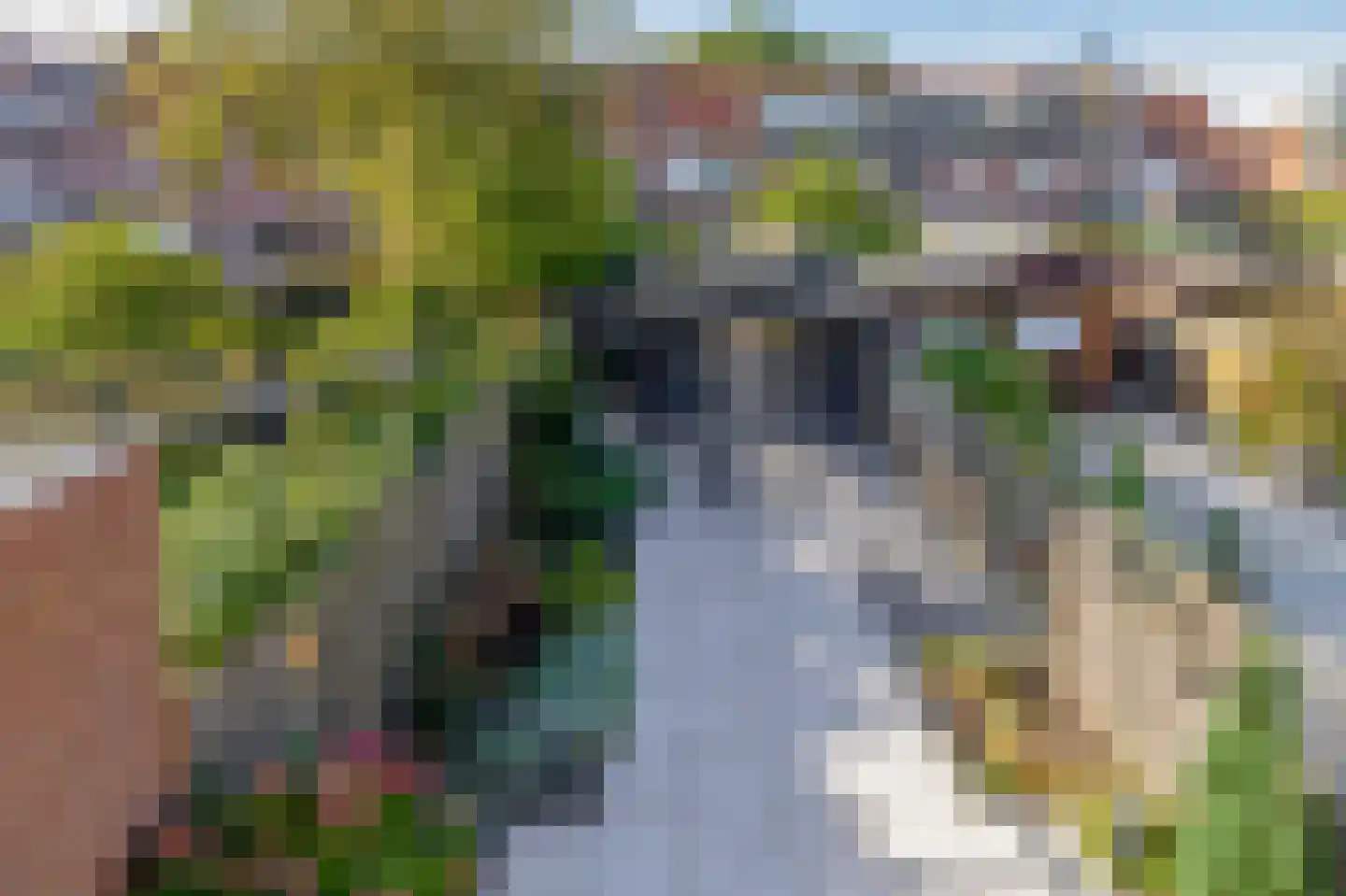 Libelleveen 140 Spijkenisse thumbnail 29