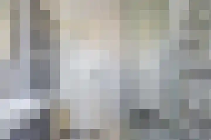 Libelleveen 201 Spijkenisse thumbnail 15