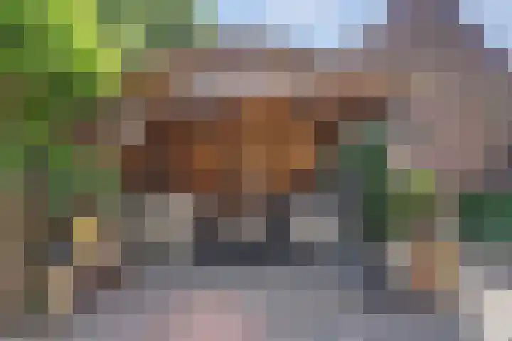 Libelleveen 201 Spijkenisse thumbnail 17