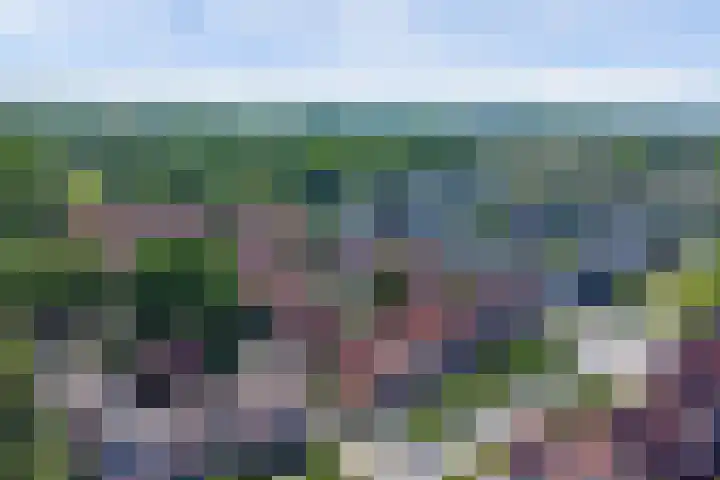 Libelleveen 201 Spijkenisse thumbnail 23