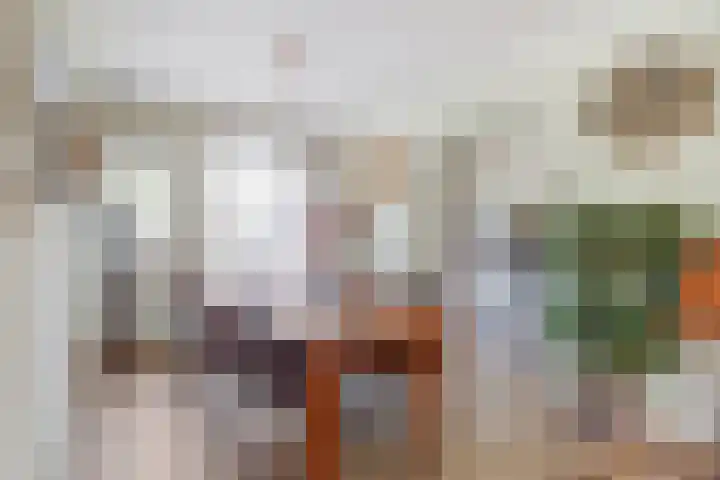 Libelleveen 201 Spijkenisse thumbnail 4