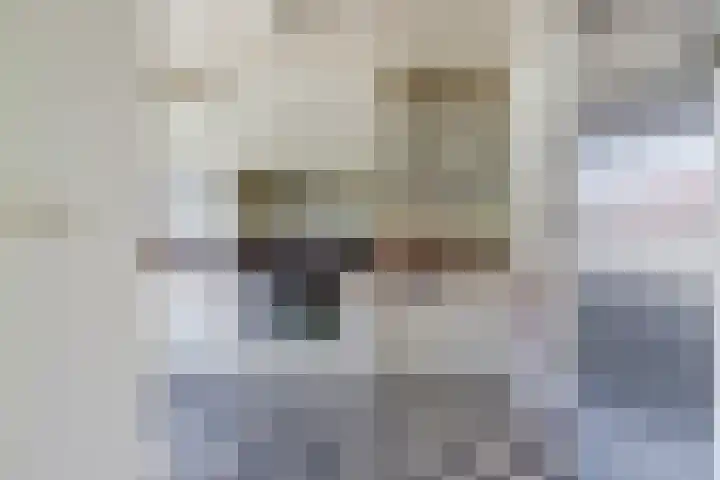 Libelleveen 201 Spijkenisse thumbnail 5