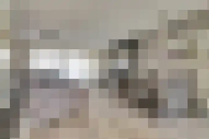 Libelleveen 245 Spijkenisse thumbnail 5