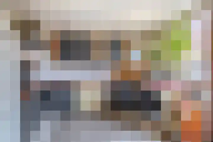 Libelleveen 254 Spijkenisse thumbnail 17