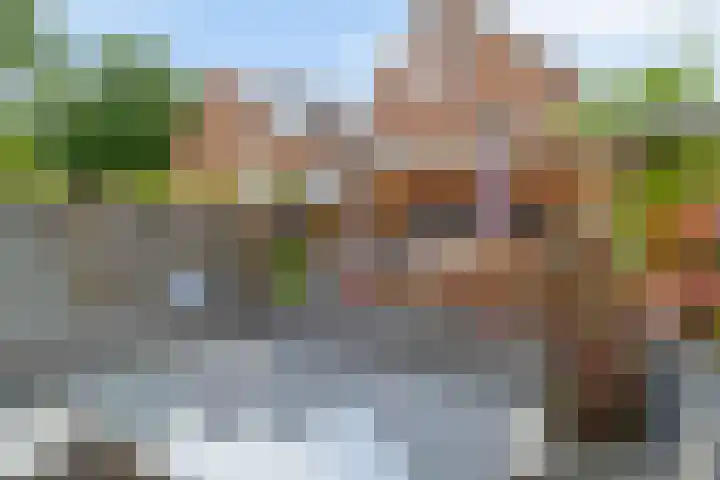 Libelleveen 254 Spijkenisse thumbnail 21