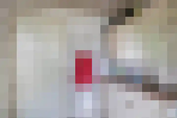 Libelleveen 254 Spijkenisse thumbnail 34