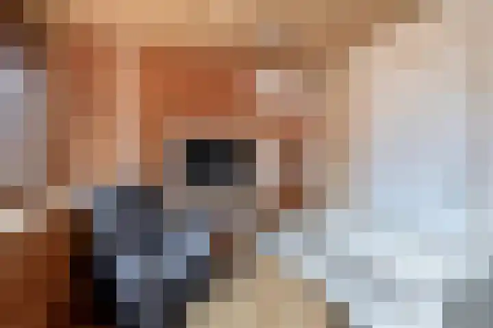 Libelleveen 254 Spijkenisse thumbnail 36