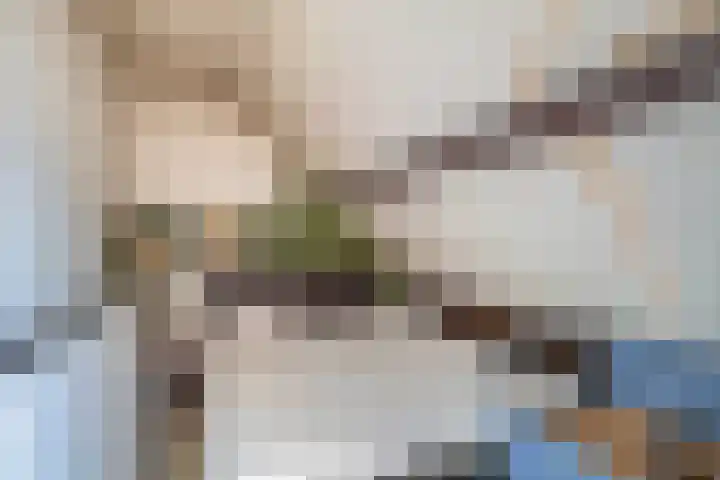 Libelleveen 254 Spijkenisse thumbnail 42