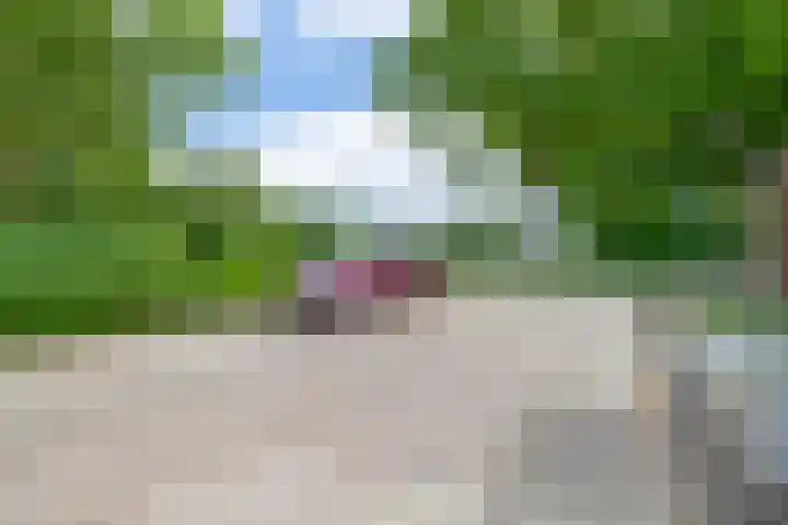 Libelleveen 254 Spijkenisse thumbnail 43