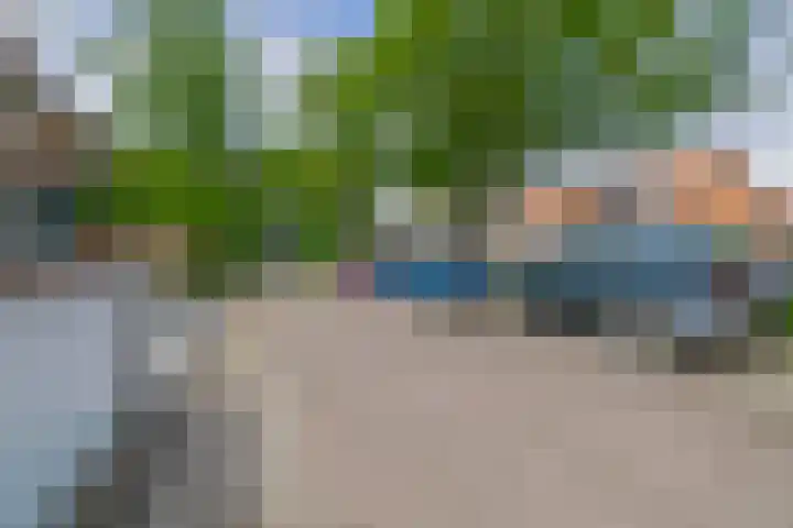 Libelleveen 254 Spijkenisse thumbnail 44