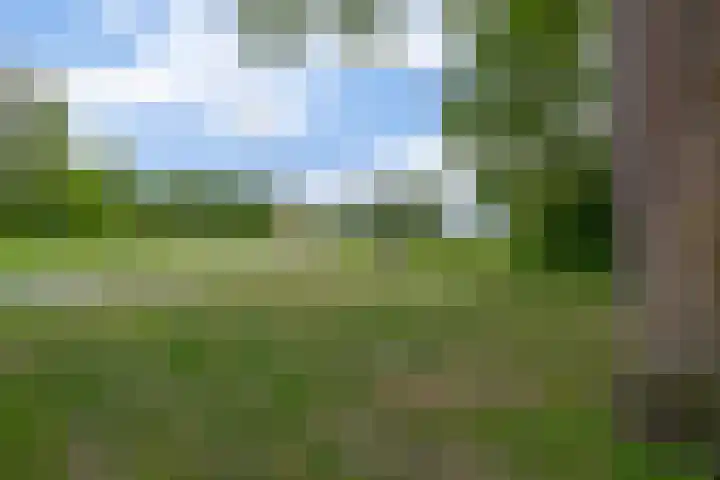 Libelleveen 254 Spijkenisse thumbnail 45