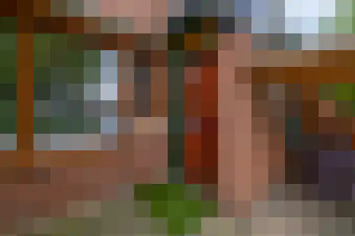 Libelleveen 254 Spijkenisse thumbnail 9