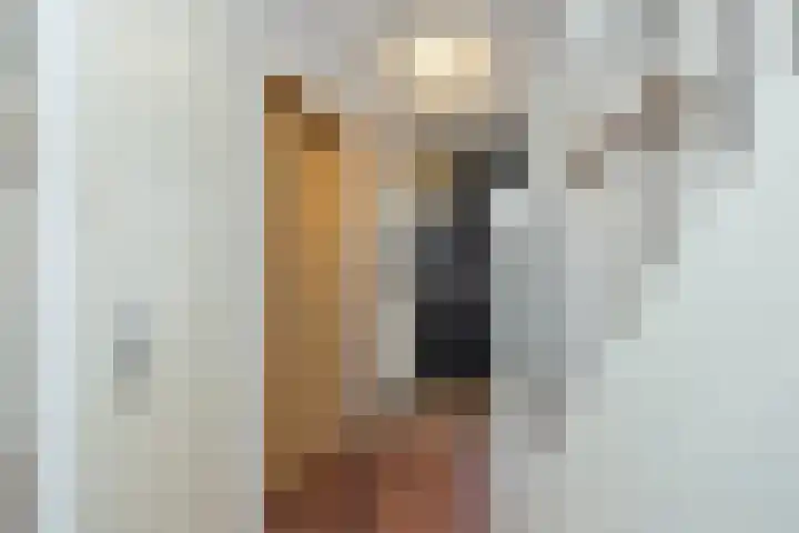 Libelsingel 26 Den Haag thumbnail 20