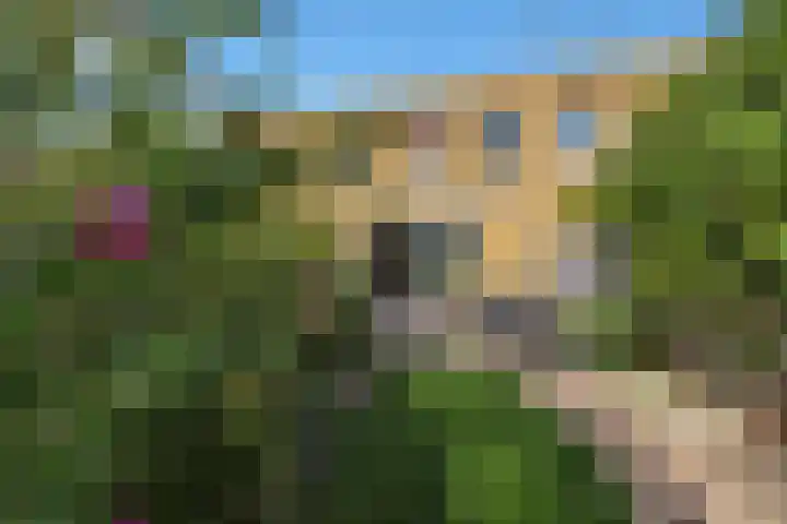 Libelsingel 26 Den Haag thumbnail 53
