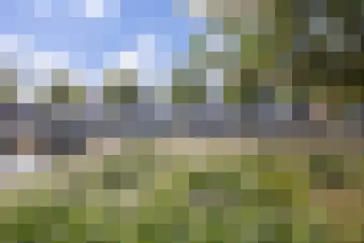 Libelsingel 69 Den Haag