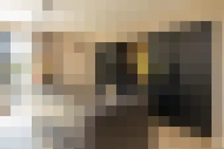 Liberstraat 3 Naaldwijk thumbnail 14