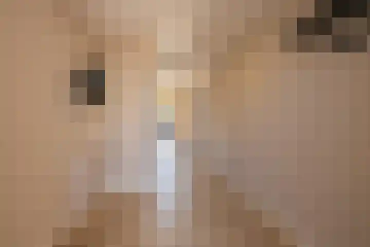 Liberstraat 3 Naaldwijk thumbnail 17