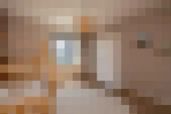 Liberstraat 3 Naaldwijk thumbnail 25