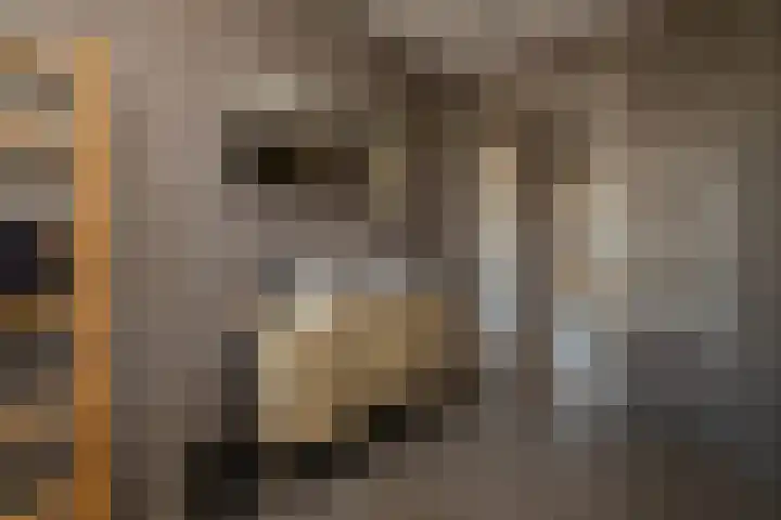 Liberstraat 3 Naaldwijk thumbnail 31
